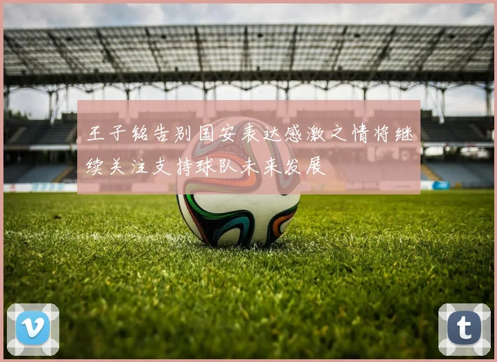 王子铭告别国安表达感激之情将继续关注支持球队未来发展