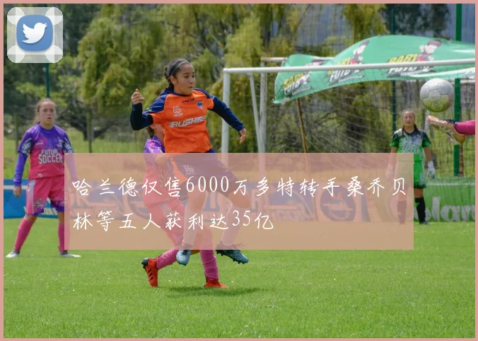 哈兰德仅售6000万多特转手桑乔贝林等五人获利达35亿