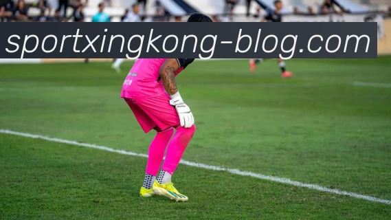 星空体育平台生态图