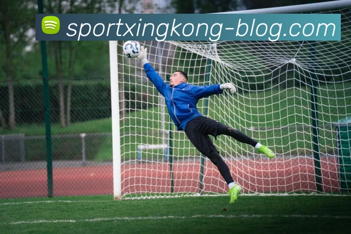 星空体育全站App